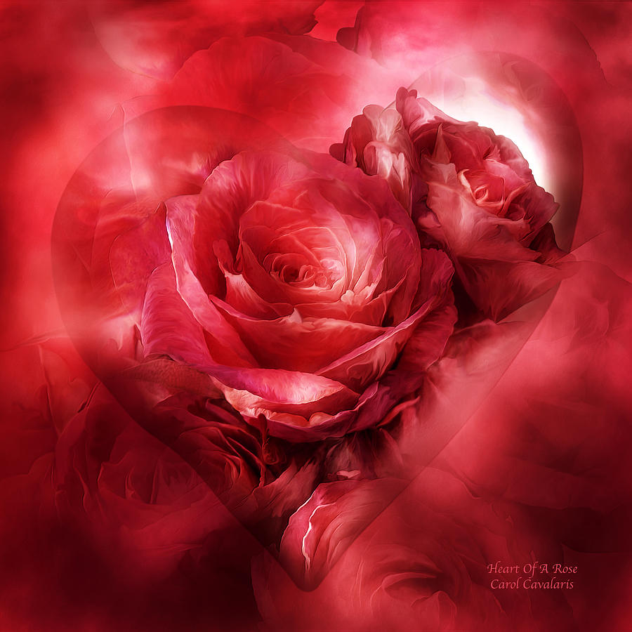 Heart Of A Rose - Red Mixed Media by Carol Cavalaris