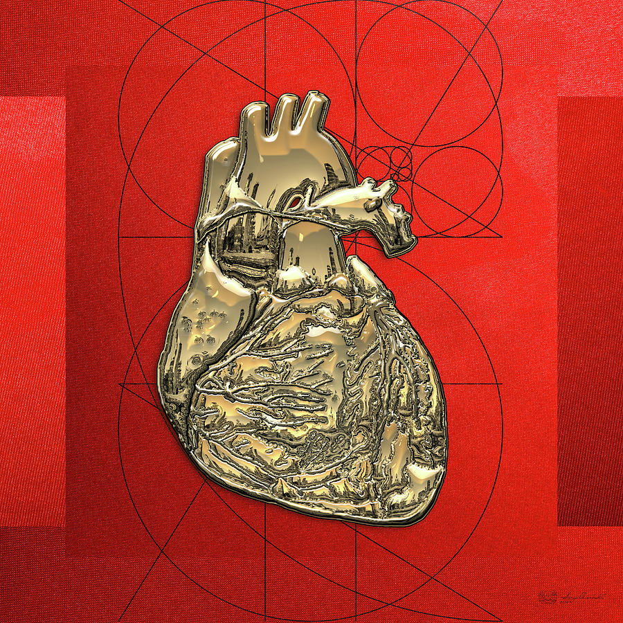 Heart of Gold - Golden Human Heart on Red Canvas Digital Art by Serge Averbukh