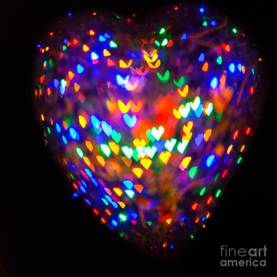 Heart Of Hearts Photograph by Diane Macdonald