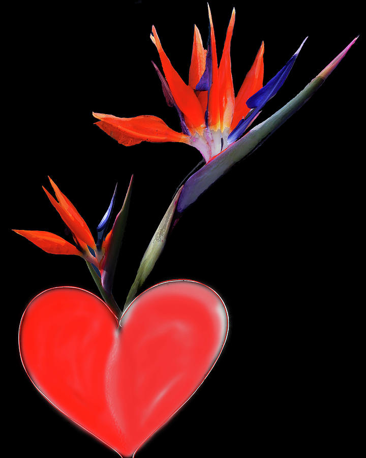 Heart Of Paradise by Teresa Epps Heart Of Paradise by Teresa Epps