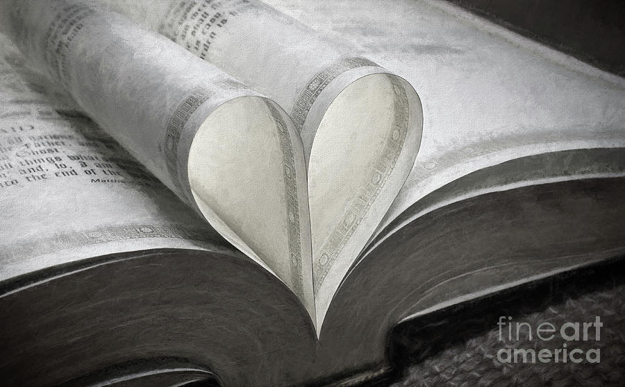 Heart Of The Book Photograph by Sharon McConnell | Fine Art America