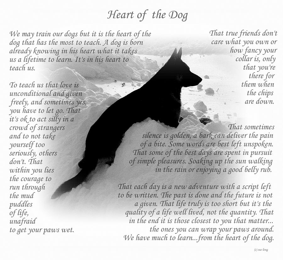 Heart Of The Dog Version Two Photograph by Sue Long