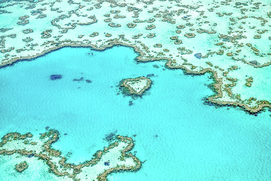 Heart Of The Reef Photograph