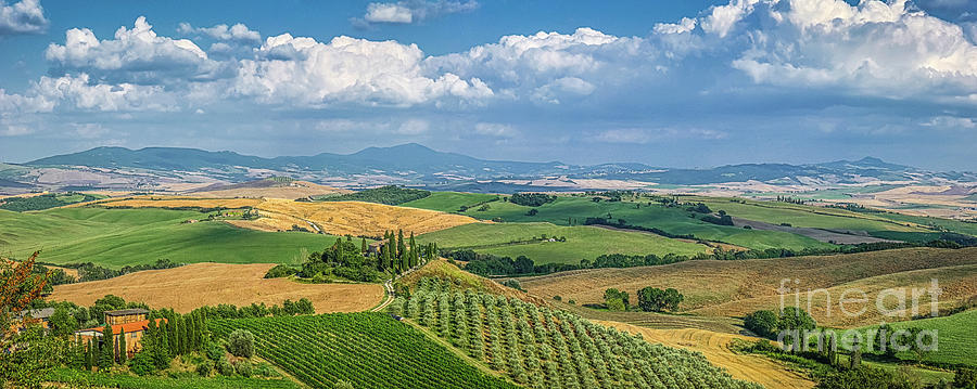 Heart of Tuscany Photograph by JR Photography