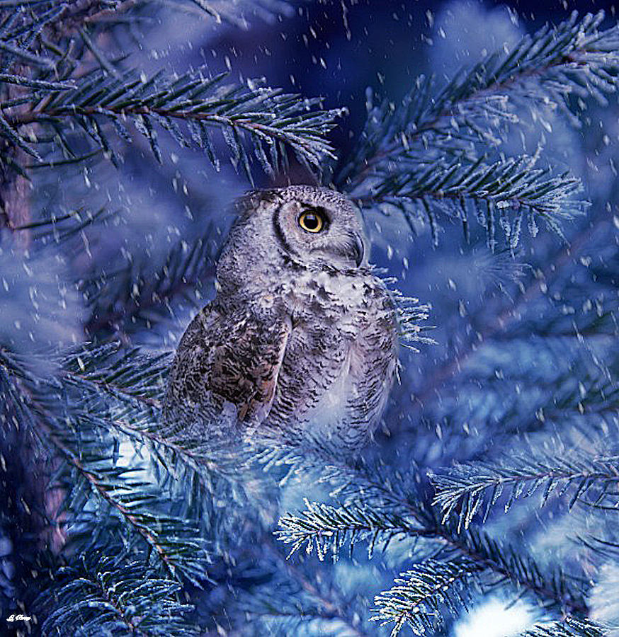 Owl Mixed Media - Heart Of Winter by Gayle Berry