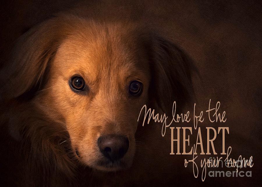Dog Digital Art - Heart of your Home  by Kathy Tarochione