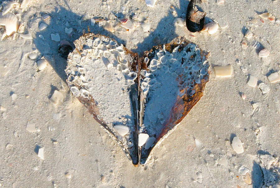 Heart on the Beach Photograph by Mike Evangelist