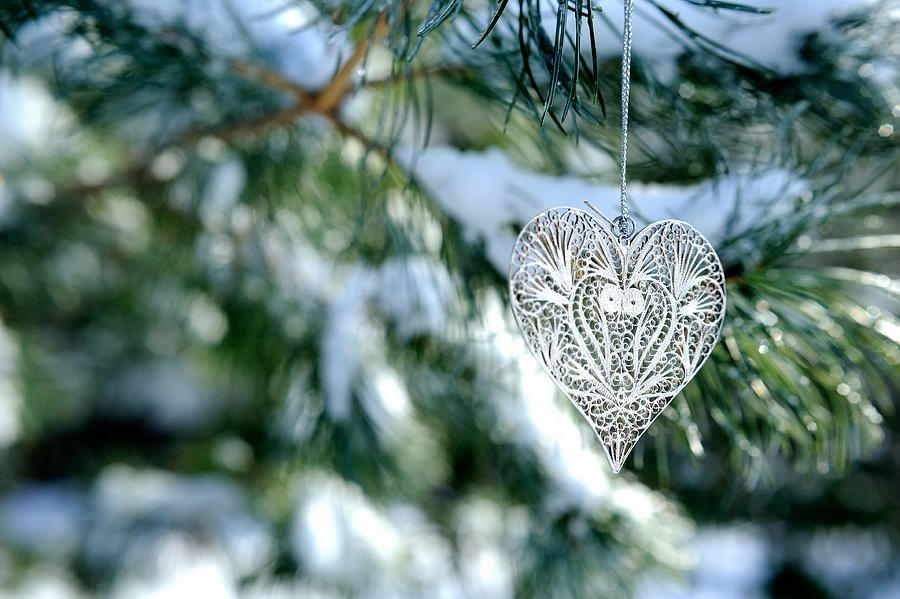Heart Ornament on Snowy Pine Tree Photograph by Marianne Campolongo
