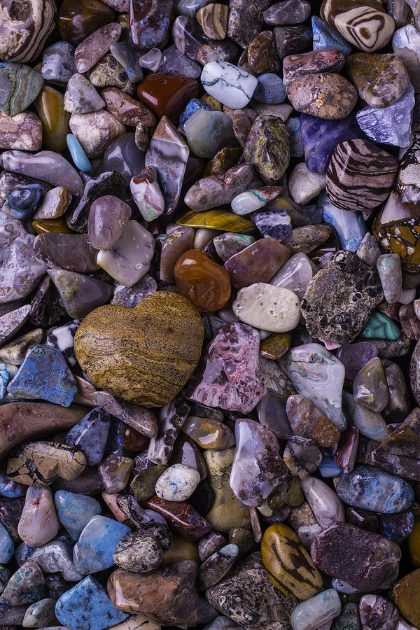 Heart Rock Among Colorful Stones Photograph by Garry Gay