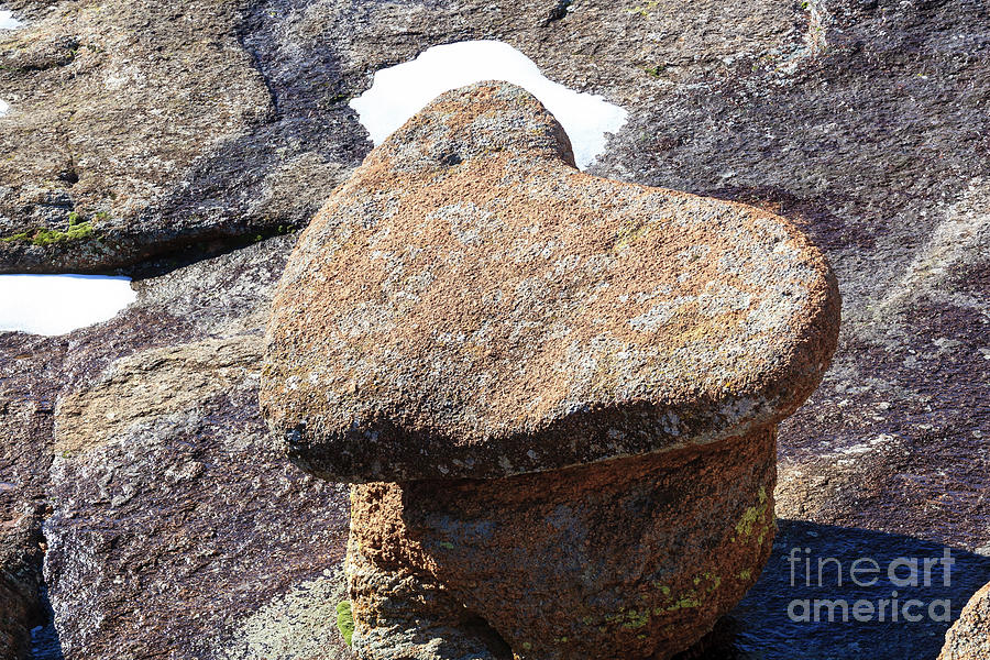 Heart Rock Photograph by Richard Smith