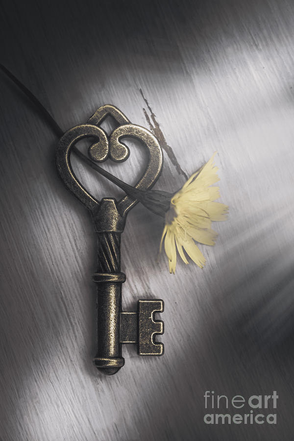 Heart Shaped Key With Yellow Flower Photograph