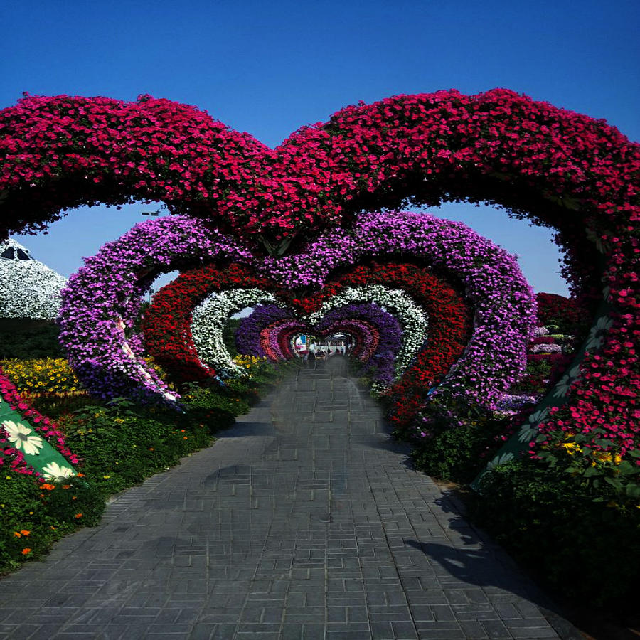 Heart shaped Park Photograph by Nilu Mishra