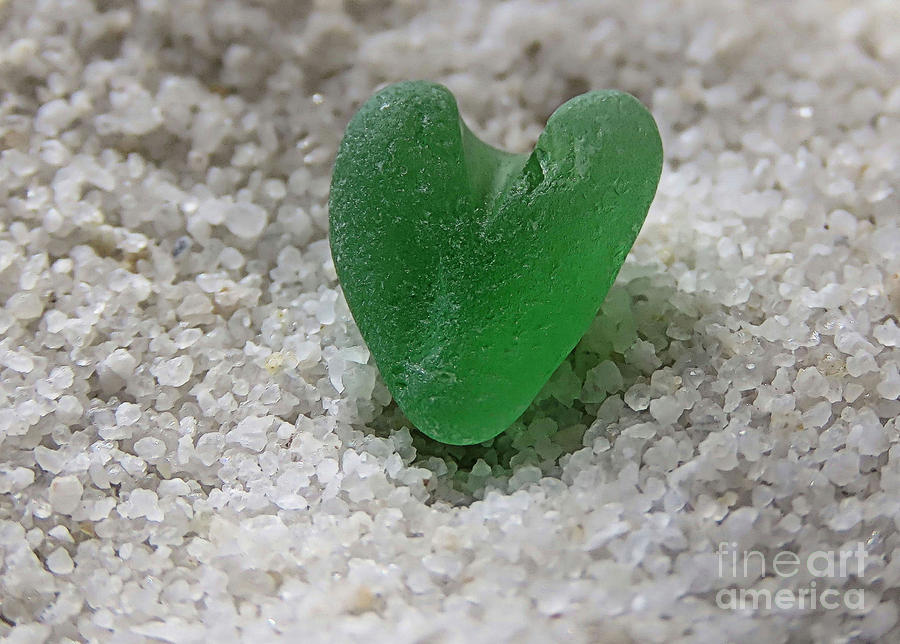 Heart Shaped Sea Glass Photograph by Janice Drew