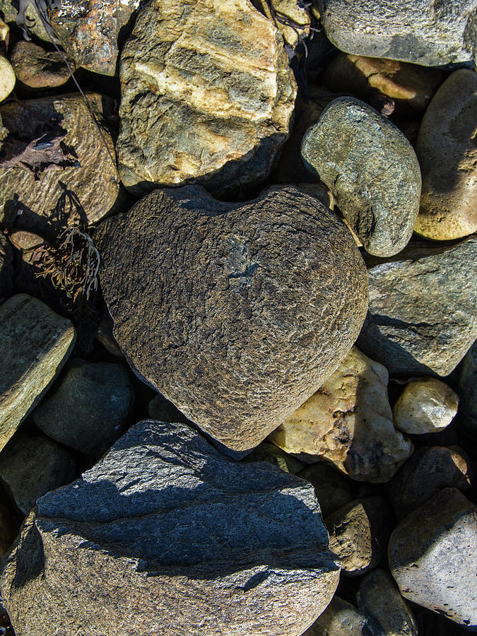 Heart shaped stone Loch Fyne  Photograph by Gary Eason