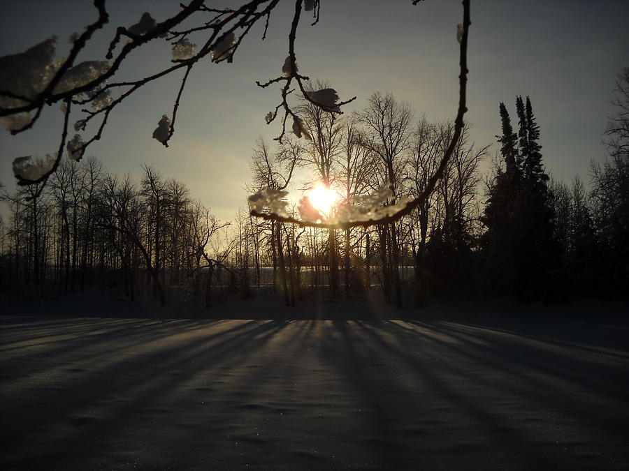 Heart Shaped Winter Sunrise Photograph by Kent Lorentzen