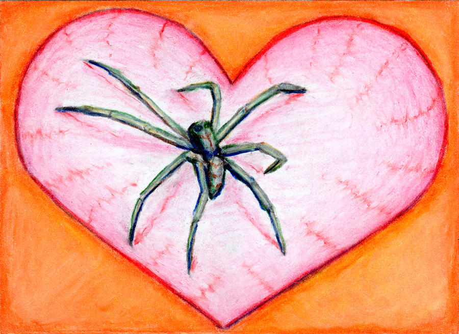 Heart Spider Drawing by John Terwilliger