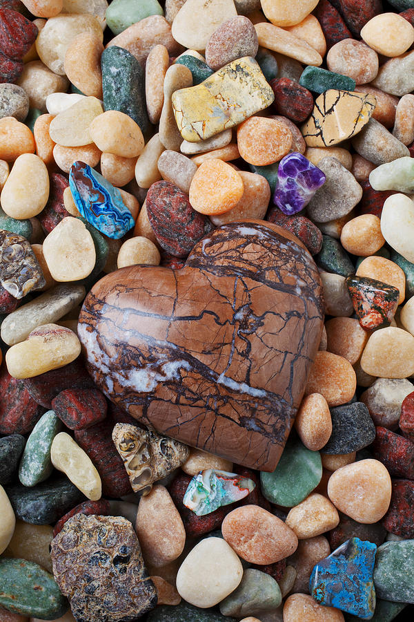 Still Life  - Heart stone among river stones by Garry Gay