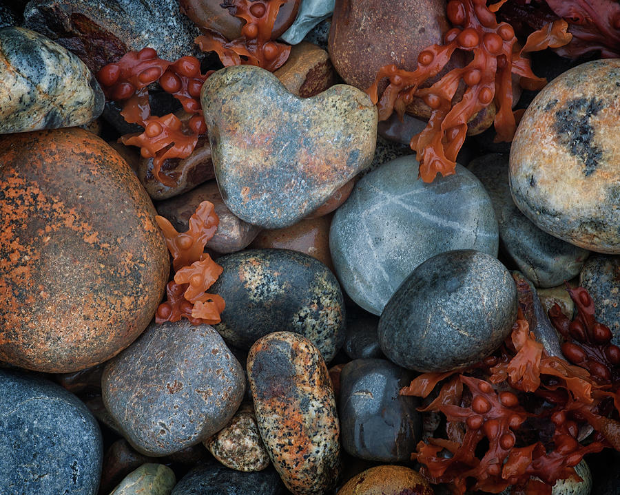Heart Stone Photograph by Darylann Leonard Photography