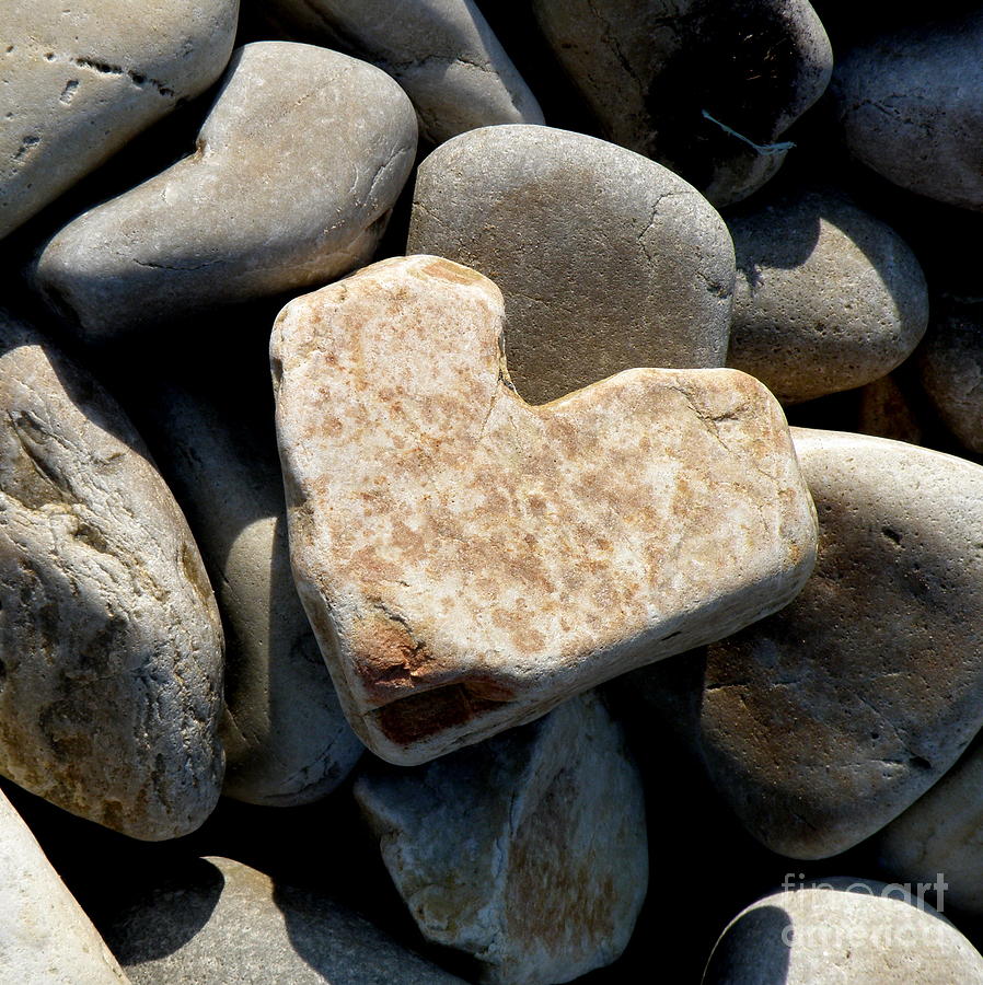 Heart Stone Photograph by Lainie Wrightson