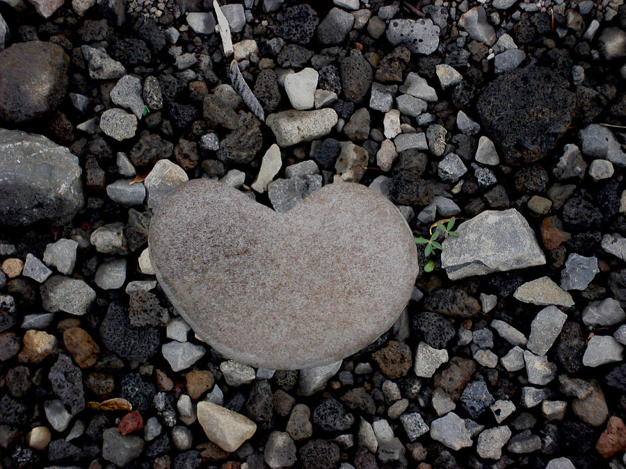 Heart Stone Photograph by Marilynne Bull