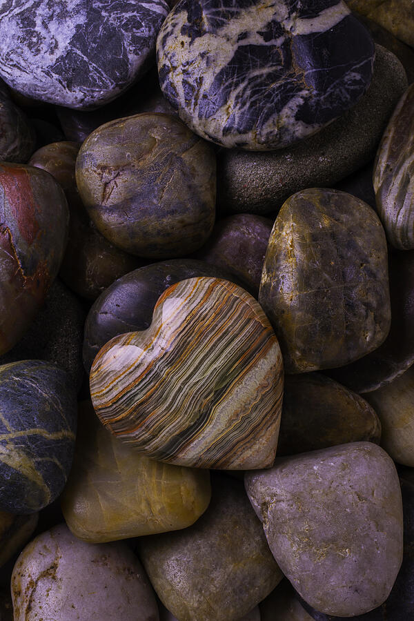 Heart Stone On River Rocks Photograph by Garry Gay