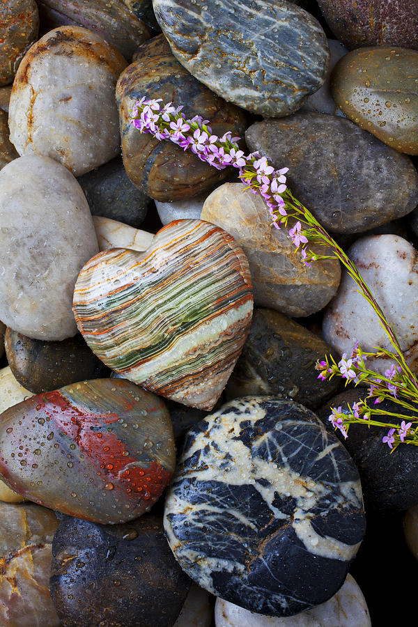 Still Life Photograph - Heart stone with wild flower by Garry Gay