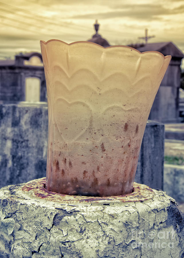 Heart Vase Upright - Nola Photograph
