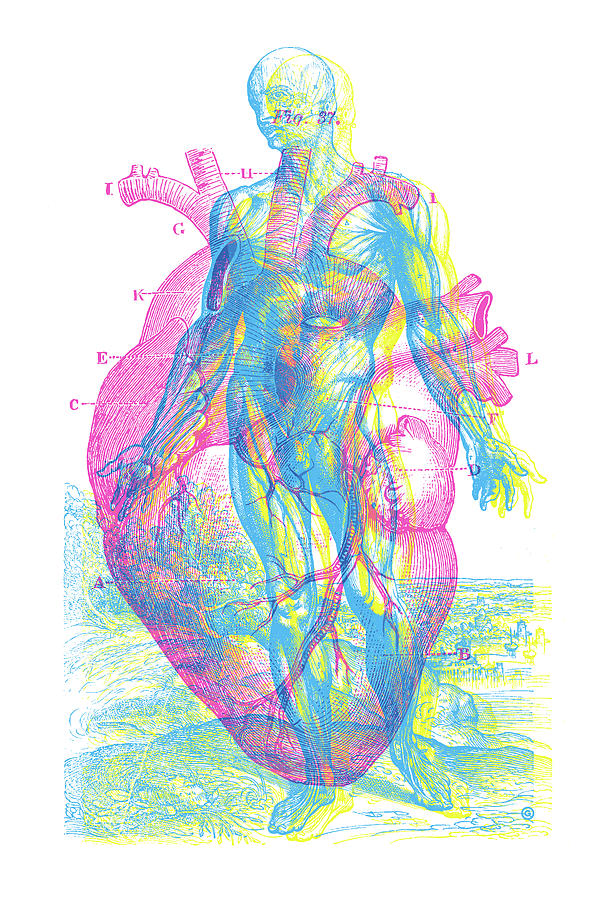 Heart-Venus Digital Art by Gary Grayson