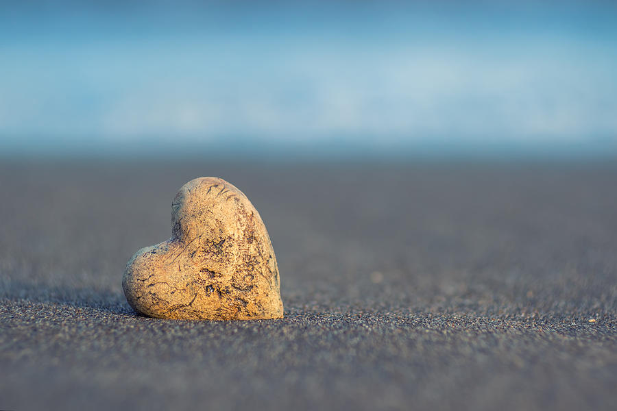 Zen Heart  Photograph by Stelios Kleanthous