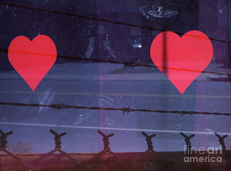 Hearts and Barbed Wire Photograph by Jonathan Welch