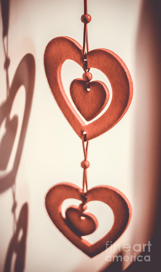 Hearts Photograph by Claudia M Photography