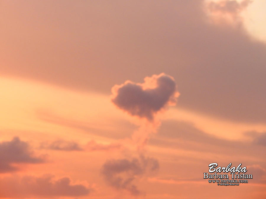 Hearts in the Clouds Photograph by Barbara Tristan