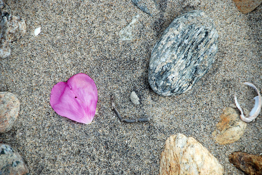 Beach Photograph - Hearts in Westport by Mark Wiley Beach Photograph - Hearts in Westport by Mark Wiley