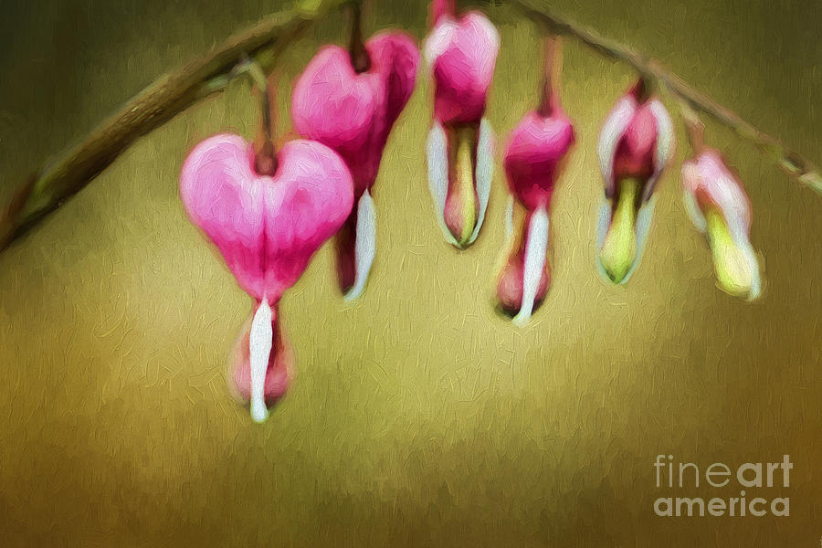 Nature Photograph - Hearts of Spring by Darren Fisher