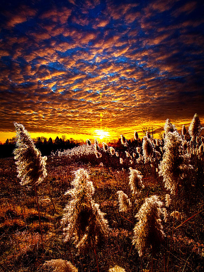 Heaven and Earth Photograph by Phil Koch