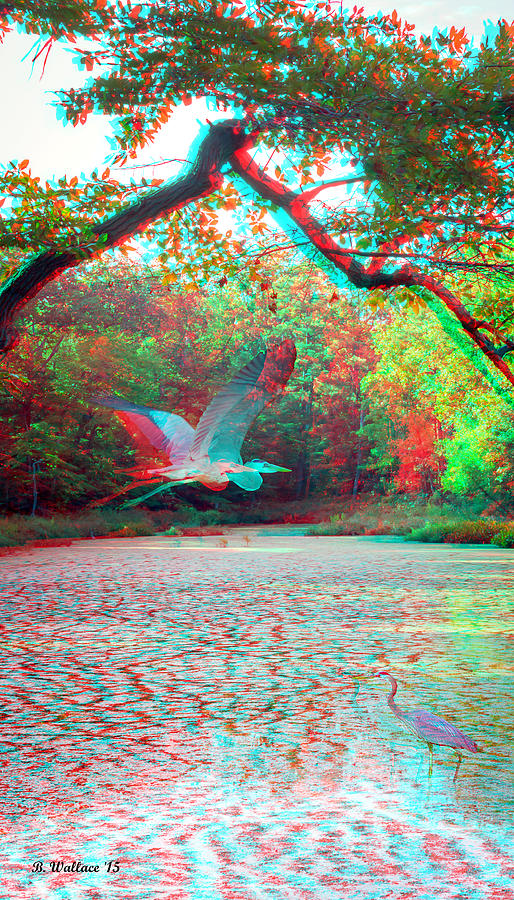 Nature Photograph - Heaven For Herons - Use Red/Cyan 3D glasses by Brian Wallace