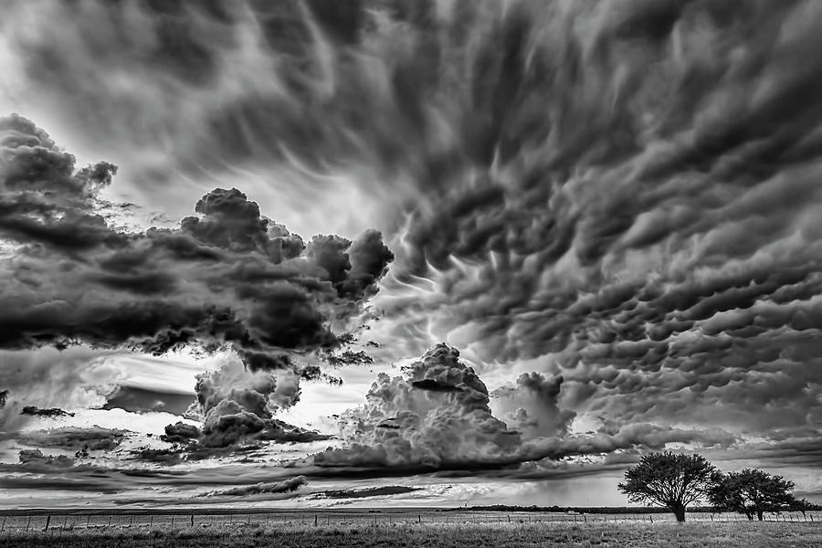 Heaven in Black and white by Pablo Rodriguez Merkel Heaven in Black and white by Pablo Rodriguez Merkel