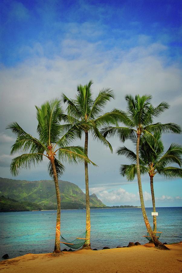 Heaven in Hawaii Photograph by Lynn Bauer