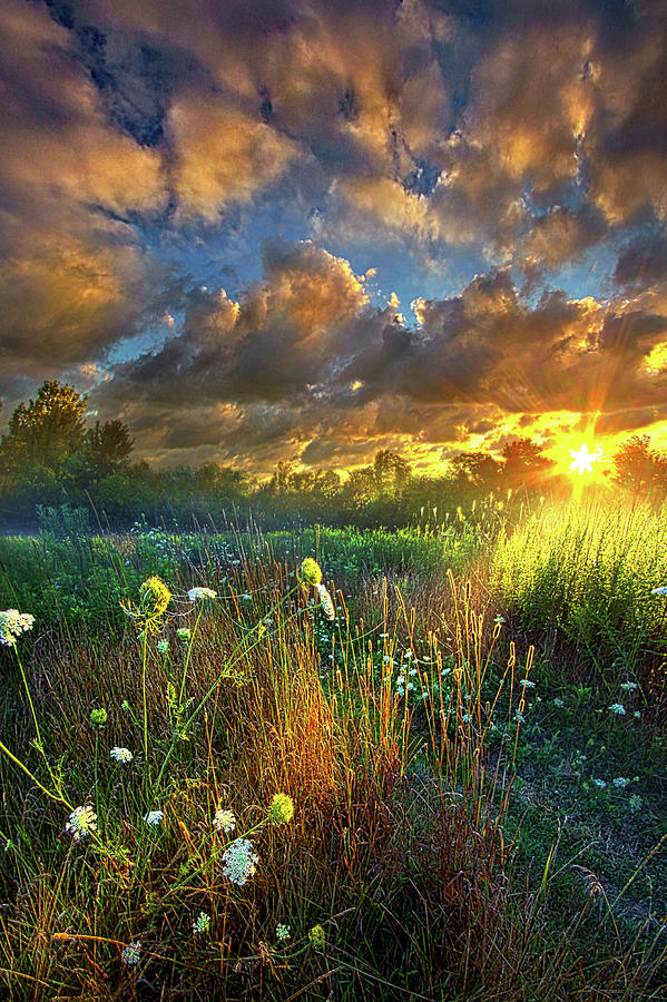 Heaven Knows Photograph by Phil Koch
