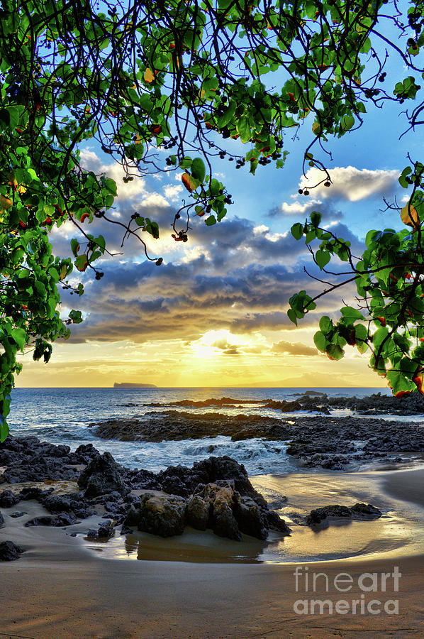 Heaven on Maui Photograph by Eddie Yerkish