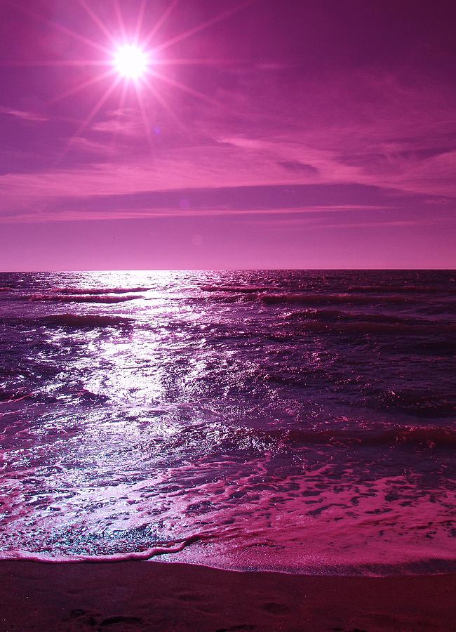 Heaven Shines Purple Photograph by Florene Welebny