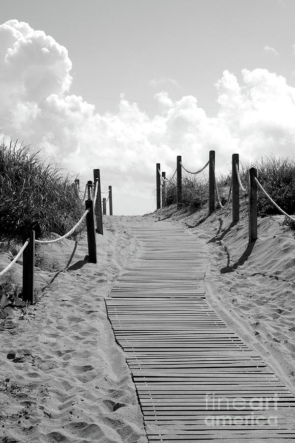 Heavenly Beach Path Black and White Photograph by Carol Groenen