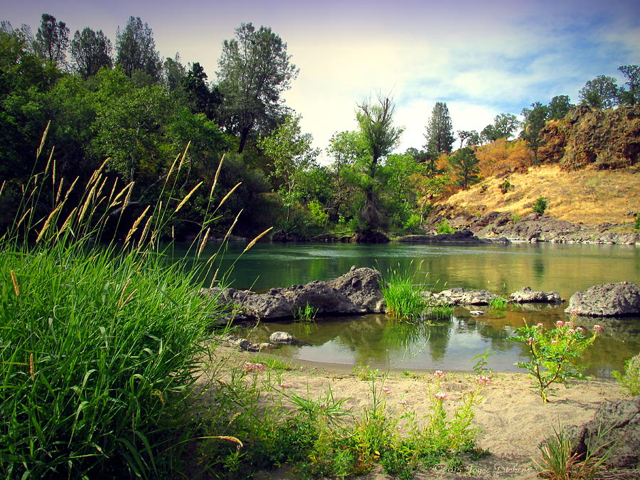 Heavenly Beauty Of The Sacramento River Photograph by Joyce Dickens