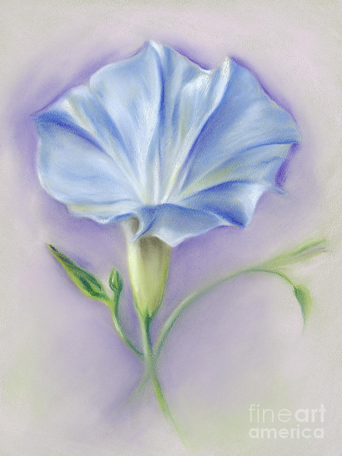 Heavenly Blue Morning Glory Painting by MM Anderson