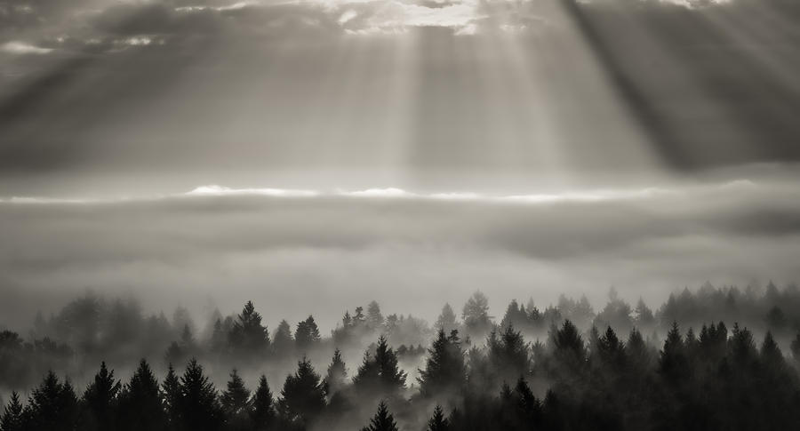 Heavenly Light Photograph by Don Schwartz