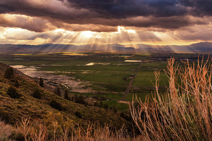 Landscape Photograph - Heavenly Rays of Spring Light by Mike Herron