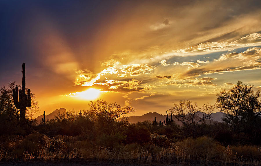Heavenly Sonoran Skies  Photograph by Saija Lehtonen