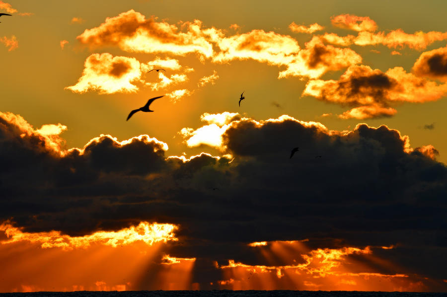 Heavenly Sunrise Photograph by Dianne Cowen Cape Cod Photography