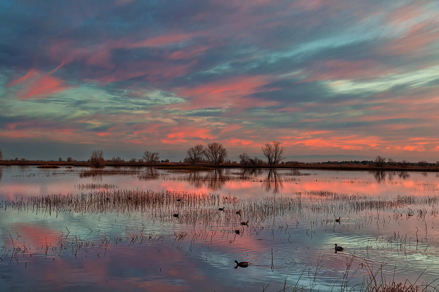Heavenly Sunrise Photograph by Kathleen Bishop
