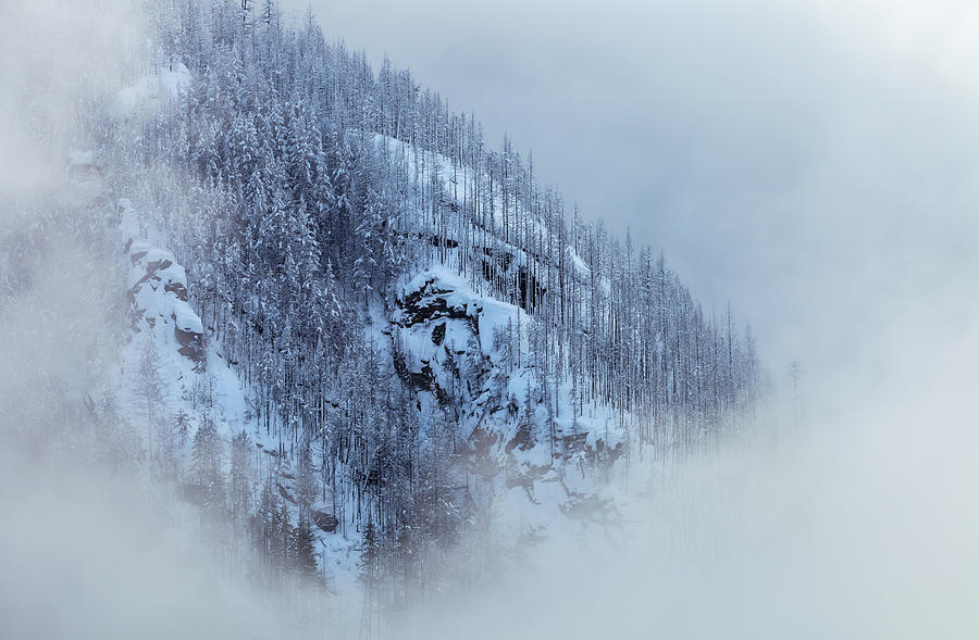 Heavenly Winterland Photograph
